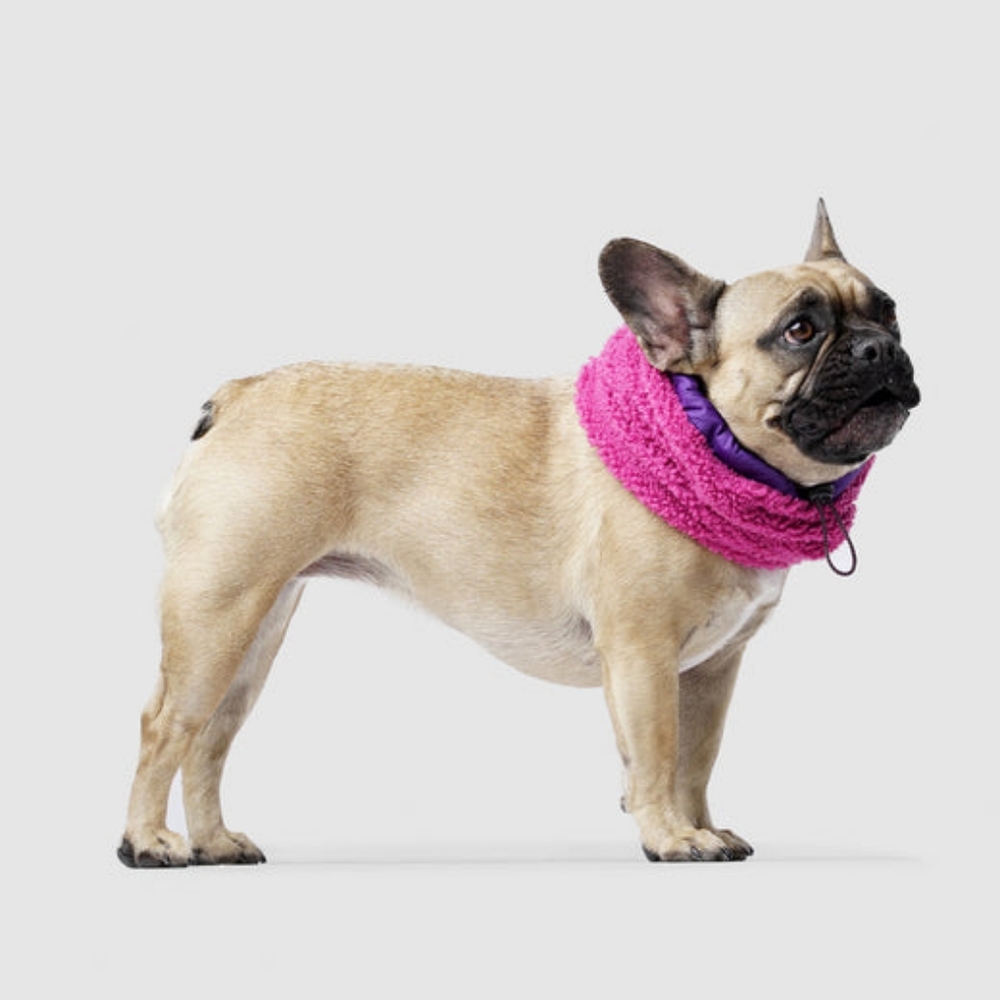 Dog Snood